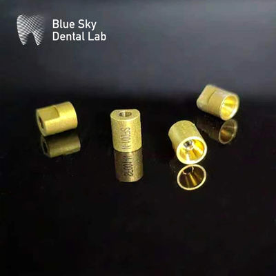 주문 금 3D 멀티 유닛 스캔 보디 online manufacture