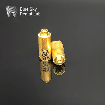 주문 블루 스카이 룸 3.5 신체 스캔 4.5 룸 임플란트 스캔 신체 3D 스캔 online manufacture