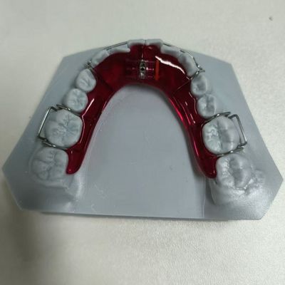 주문 2.4온스 탈착식 보철 임플란트 케이스 (높은 내구성) online manufacture